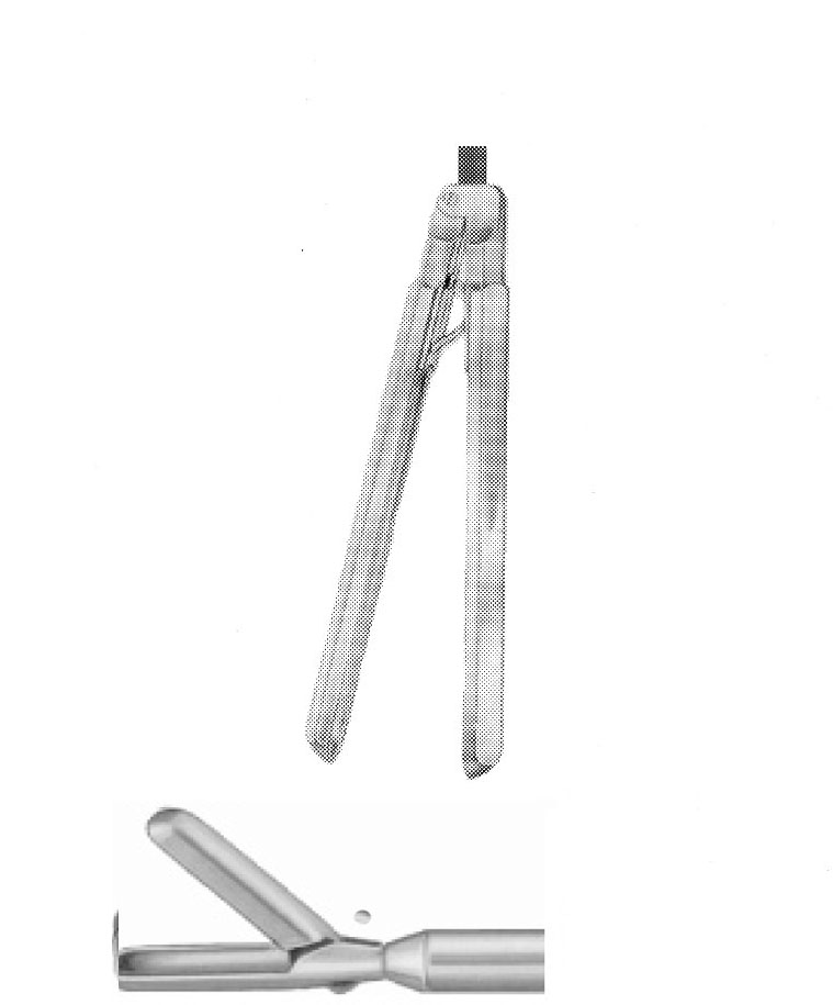 LARGE BİYOPSİ FORSEPS ÇAP  10 MM